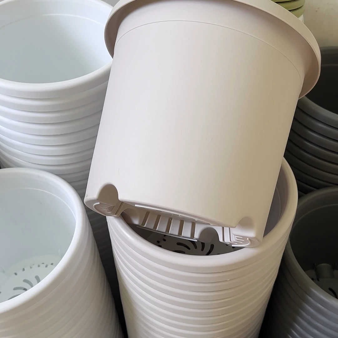 微瑕5号6个无托，灰白