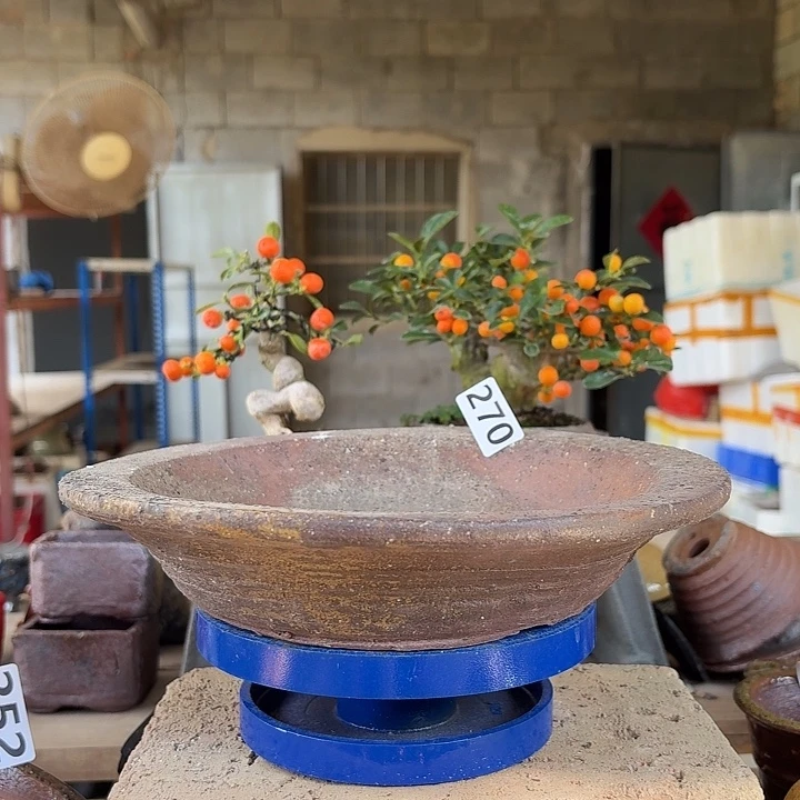 19.5x4////外口24.5////270