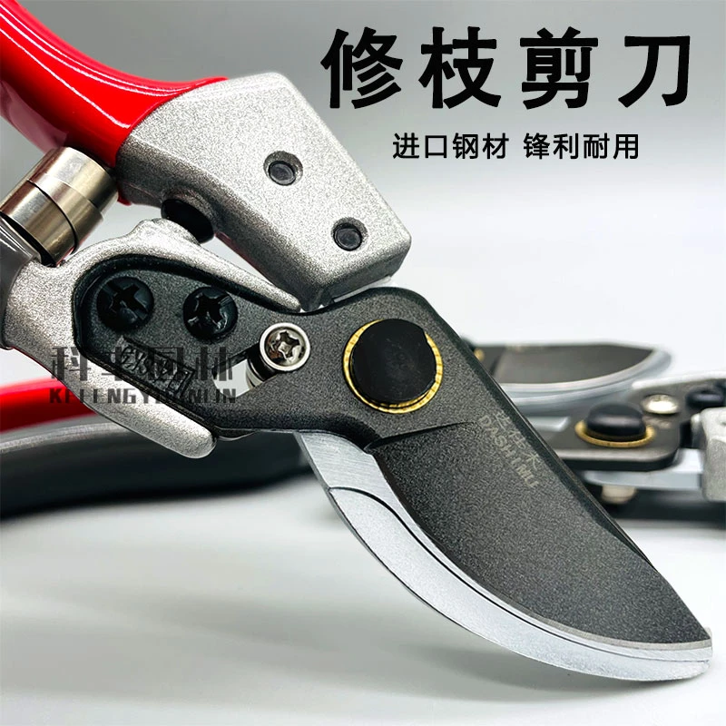 剪树枝专用剪子修剪树枝剪刀修枝剪剪刀修剪树枝达仕木省力果枝剪