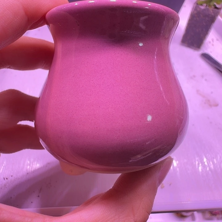 盆25，粉色小罐，多肉盆闲置处理福利出！