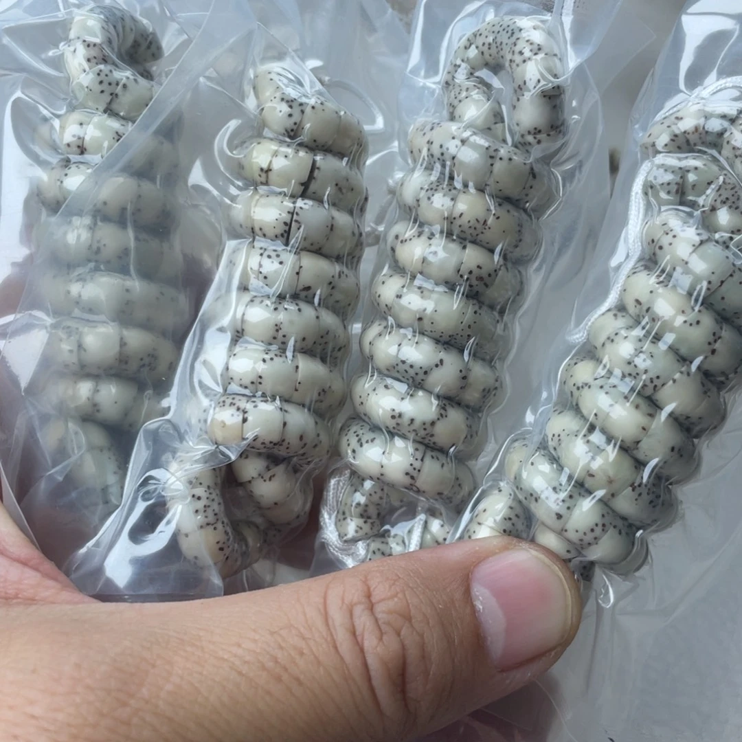 吊坠星月菩提7mm石玉料大留白