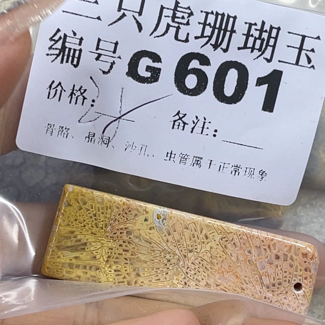 T***y硅化珊瑚（珊瑚玉）未镶嵌h