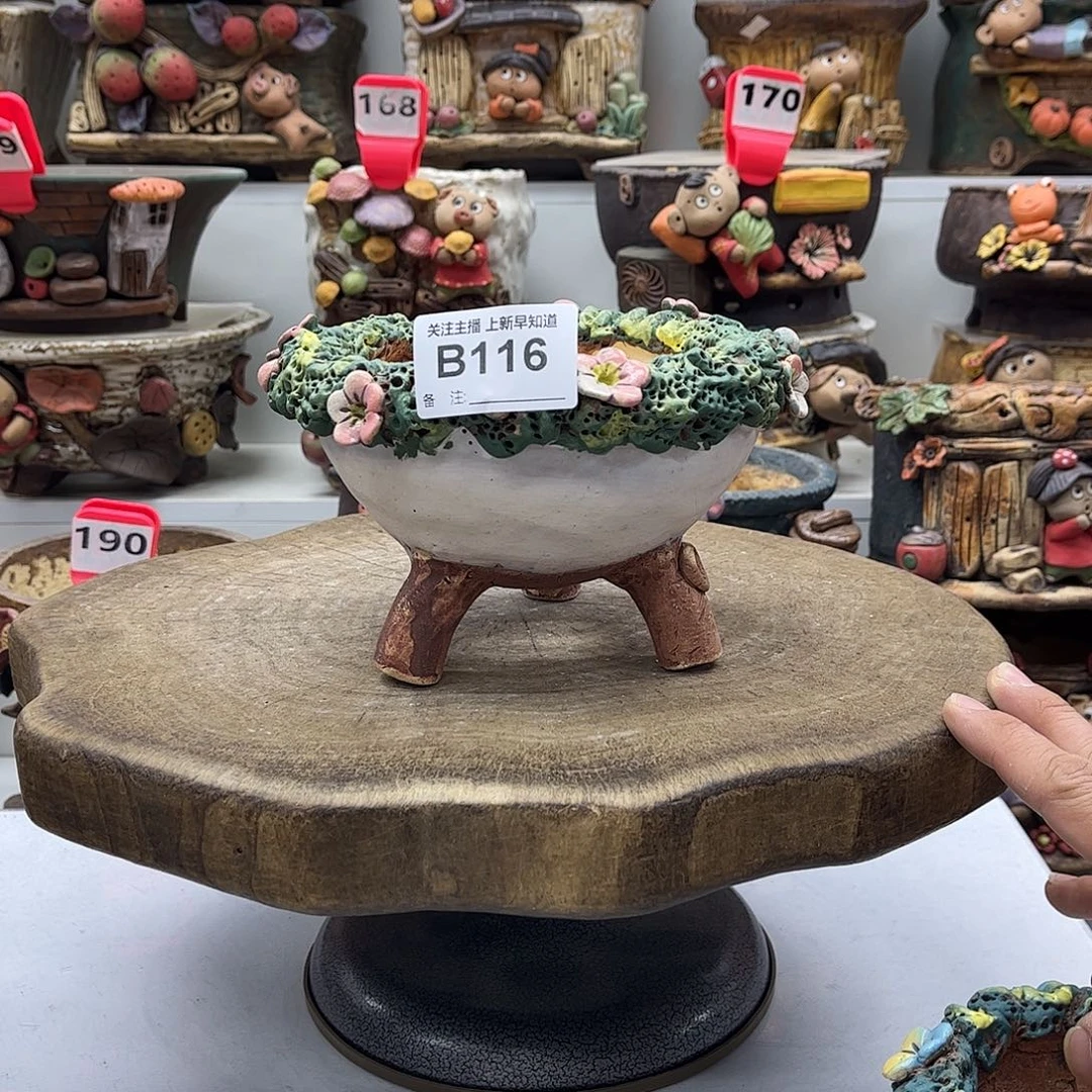 小***李花盆116福利花盆小李