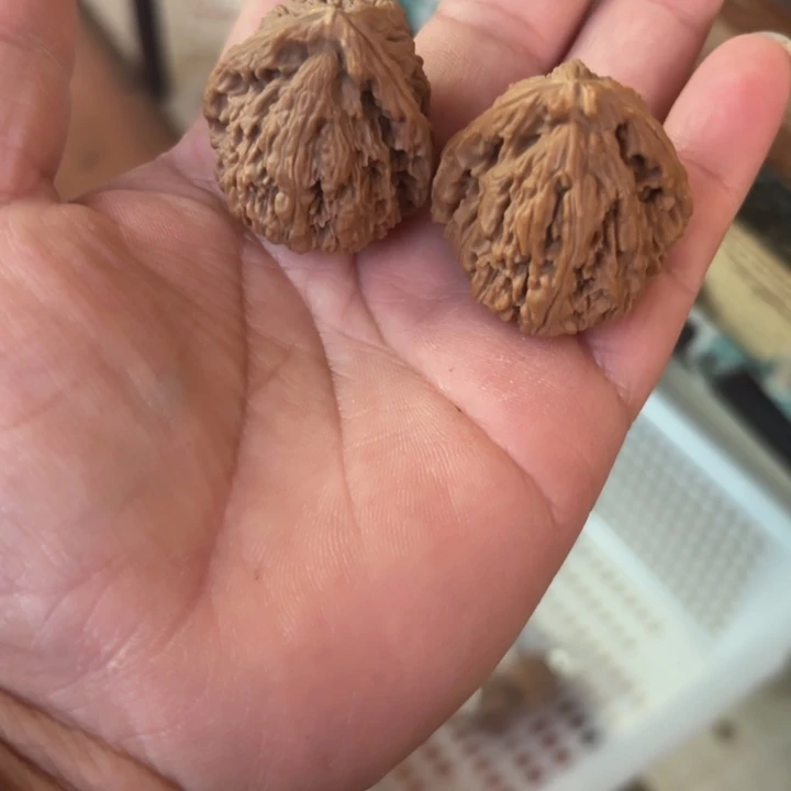 斌***礼琢鹿南疆石文玩核桃