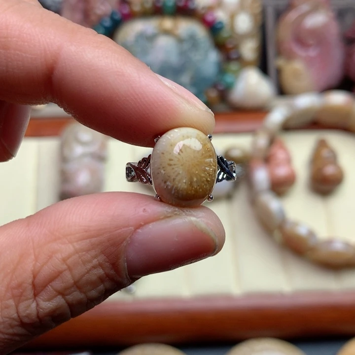 硅化珊瑚（珊瑚玉）颈饰未镶嵌