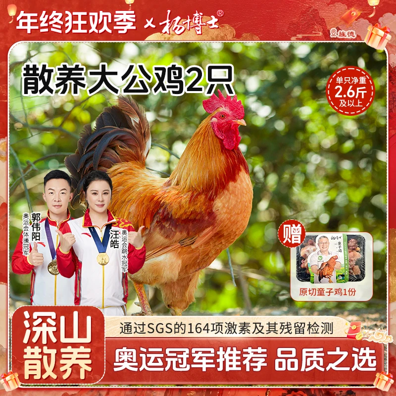 【深山放养大公鸡2只】食安放心杨博士土鸡散养大公鸡嫩鲜新鲜现杀