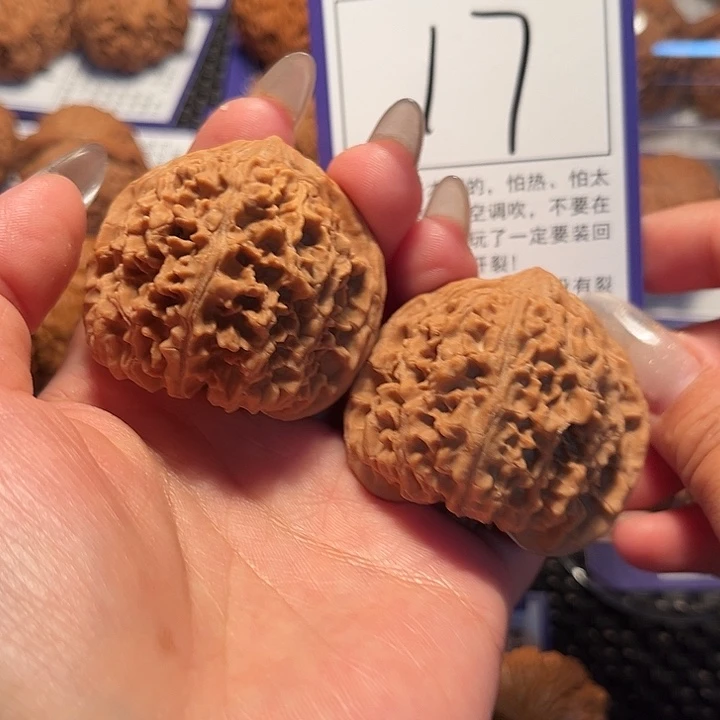 核桃文玩核桃17号满天星43