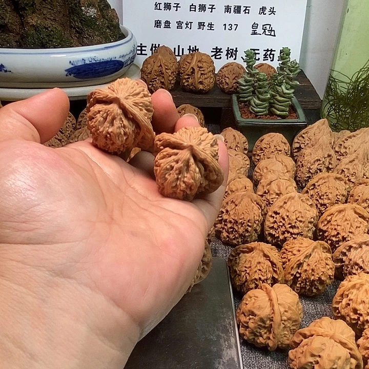 小***丶核桃全品无修无药三角楼42