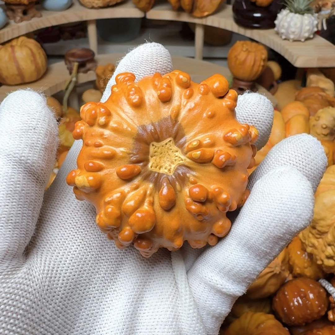 鱼****?特价葫芦不退不换