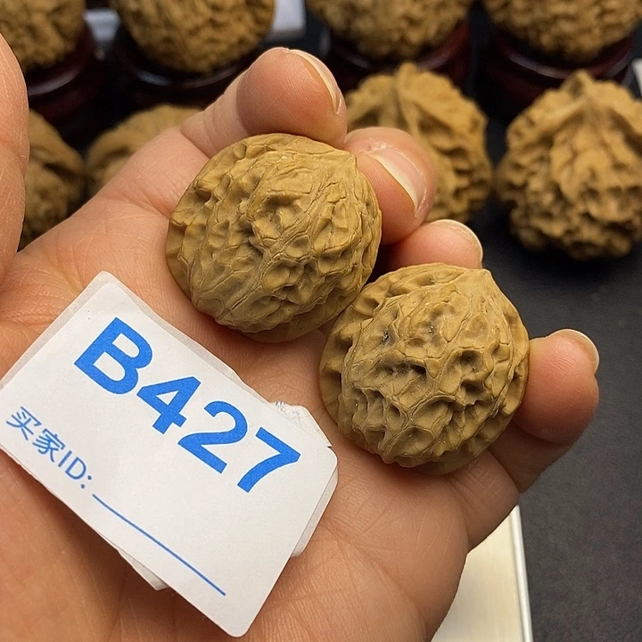 核桃小金鱼2.9，手捻