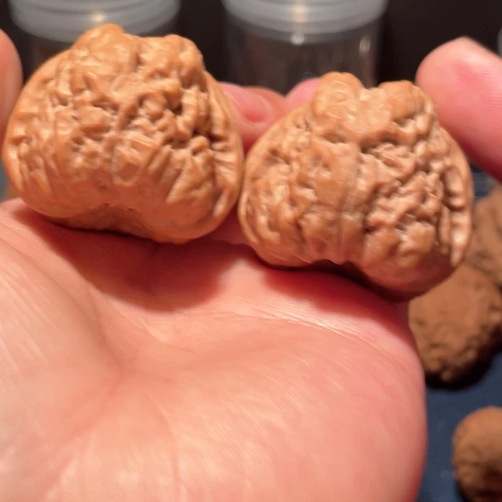 文玩核桃把件阿*38蛤蟆头