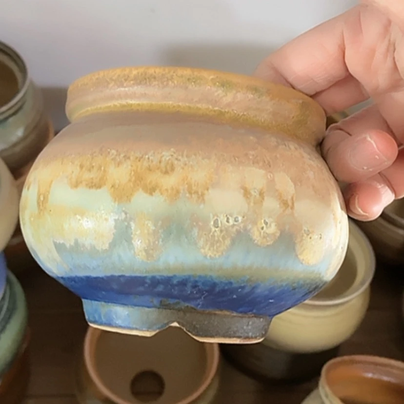 【闪购商品】红陶杨*九口9