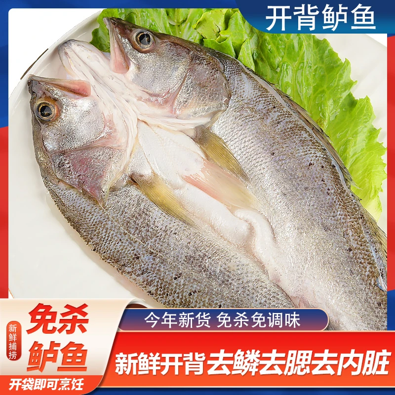 白蕉海鲈鱼 新鲜活杀四条去鳞去鳃去内脏开背海鲈鱼400-500g*4条