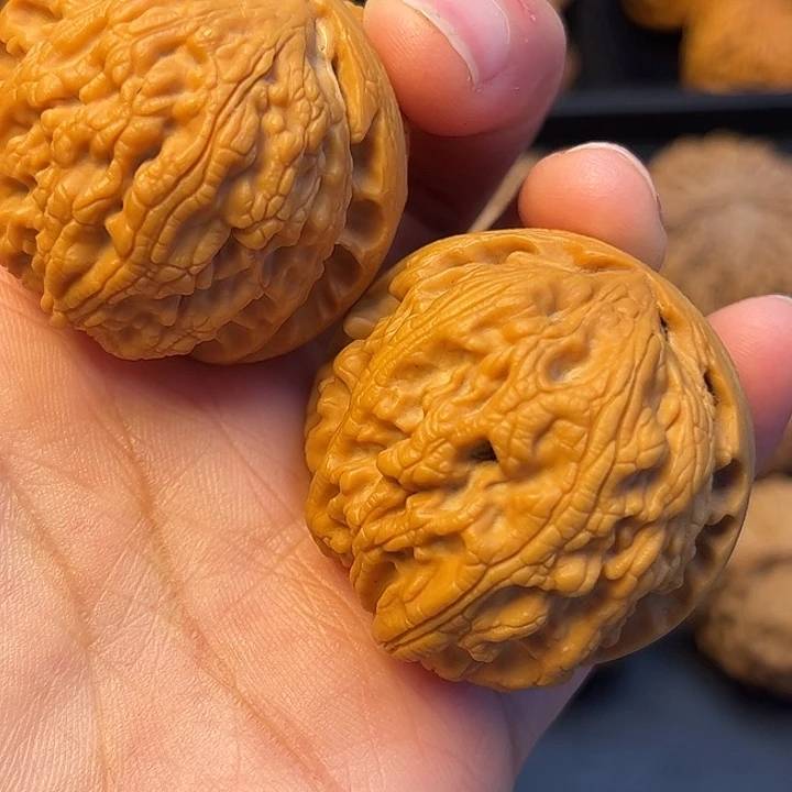 核桃秦岭突突突突突突突突33