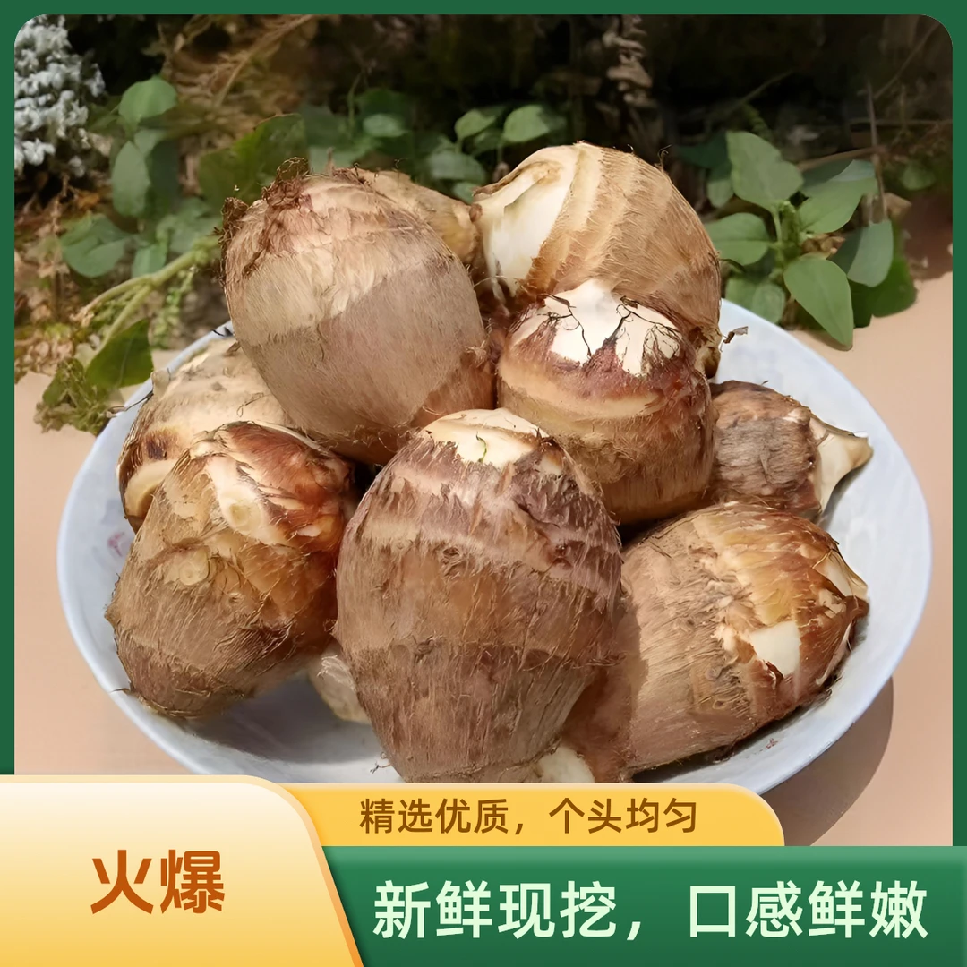 五伒新鲜现挖山东牛奶小毛芋头粉糯香甜农家应季蔬菜香芋农家菜