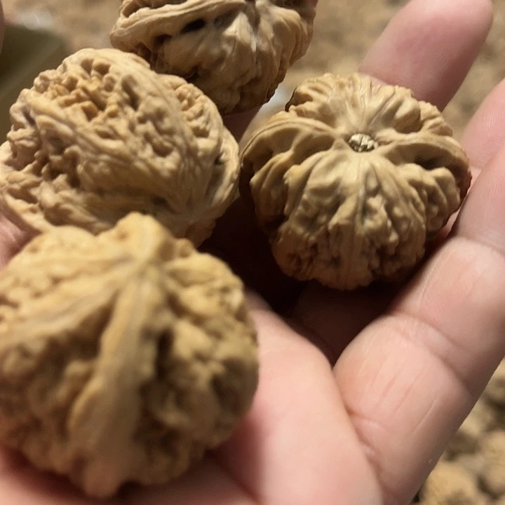 完全开放文玩核桃种子