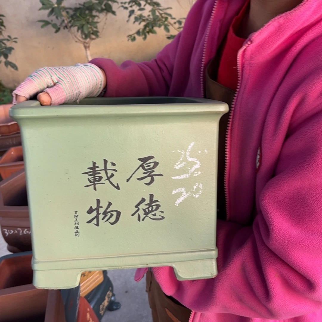 花盆紫砂盆景艺术