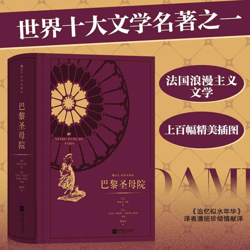 巴黎圣母院:插图珍藏版 新华书店正版