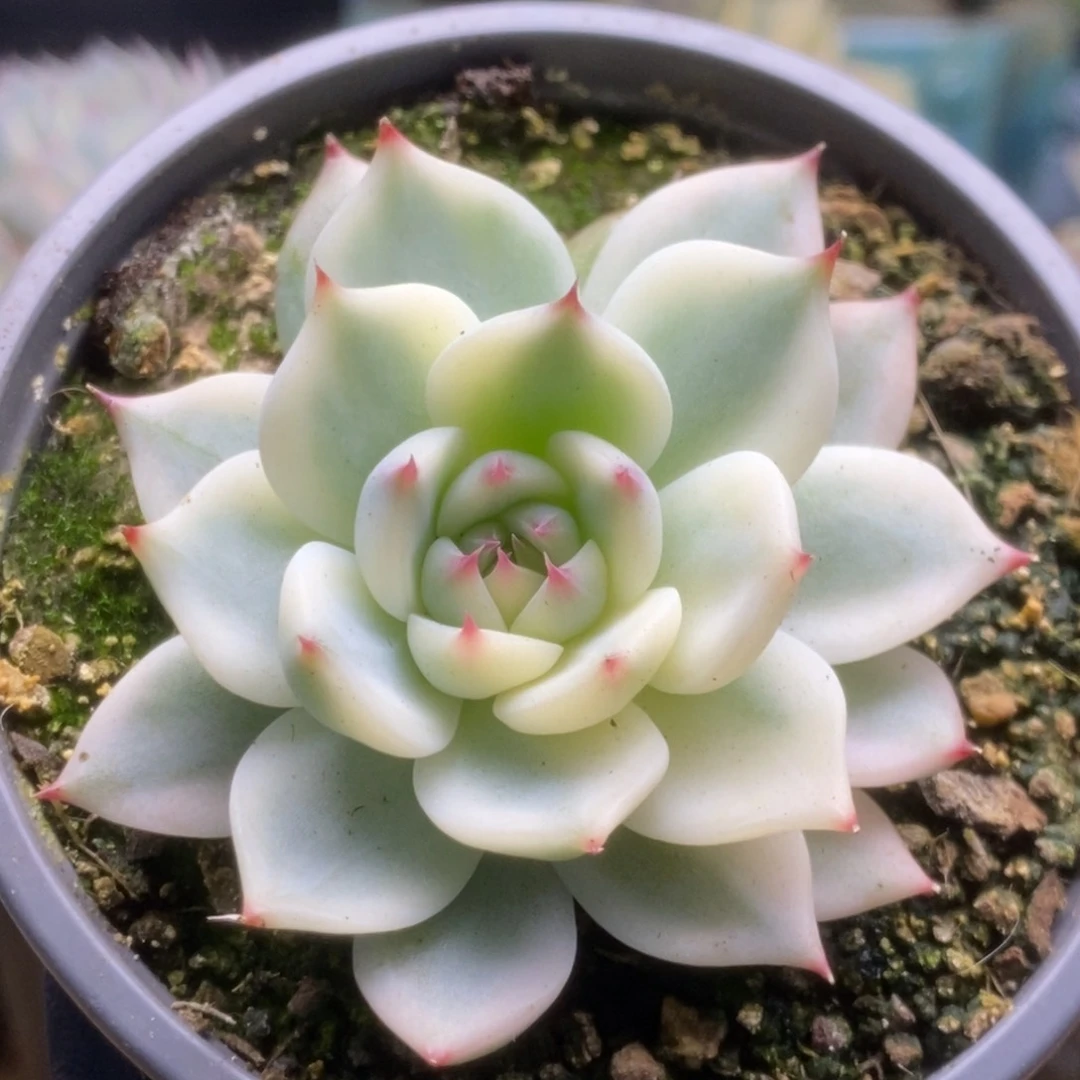 200锦锦锦锦锦锦锦