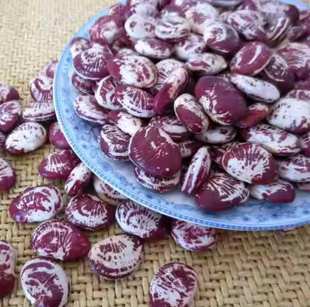 湿湿豆  【花豆】  鱼干