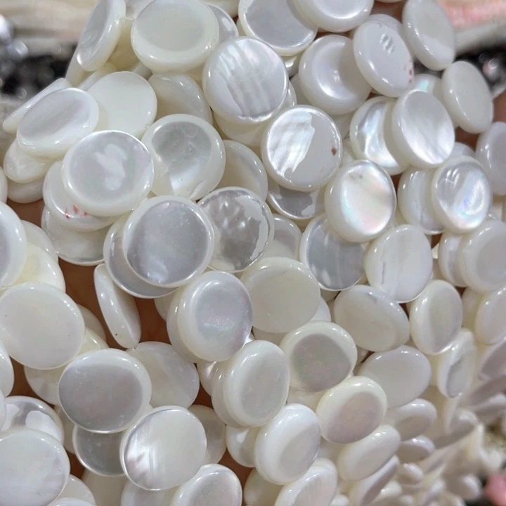 大理石磁石一条14mm马蹄螺圆片