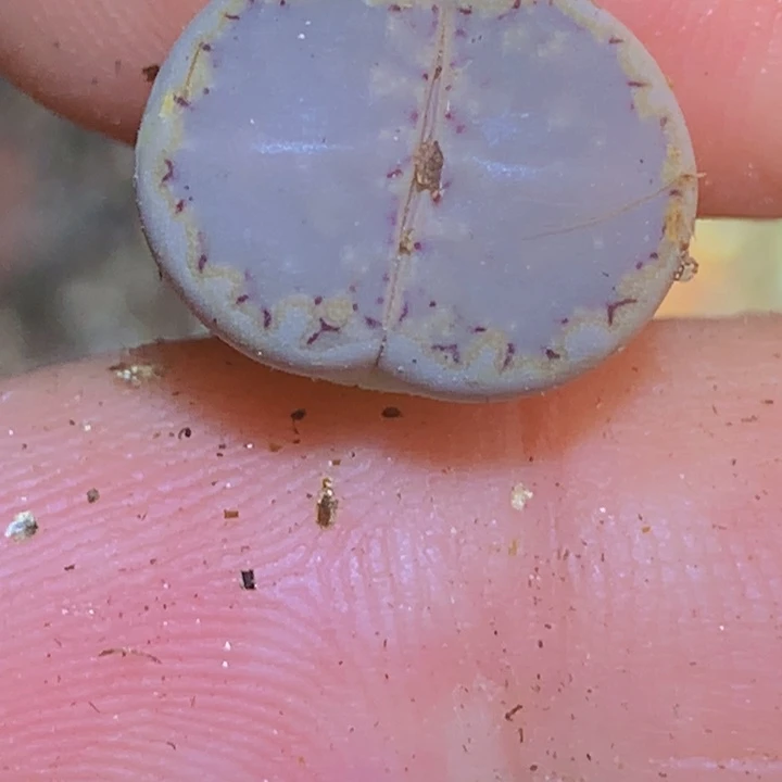 58 9 9980988958968866