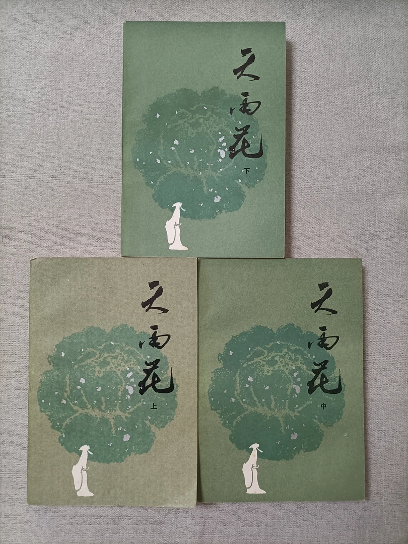 天雨花  上中下册  85新