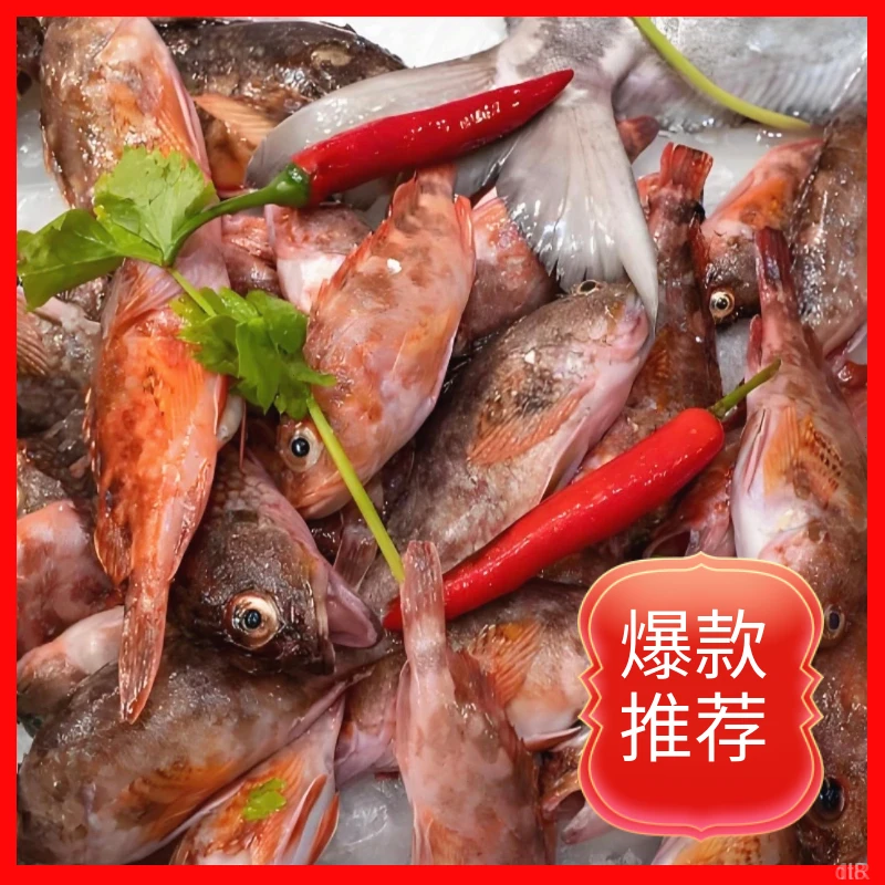 红石斑鱼野生鲜活速冻海捕石九公虎头鱼虎头斑大眼鲜嫩甜顺丰