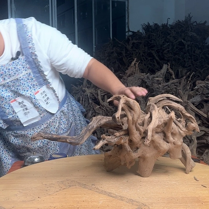 木503030 鱼缸造景根雕艺术195