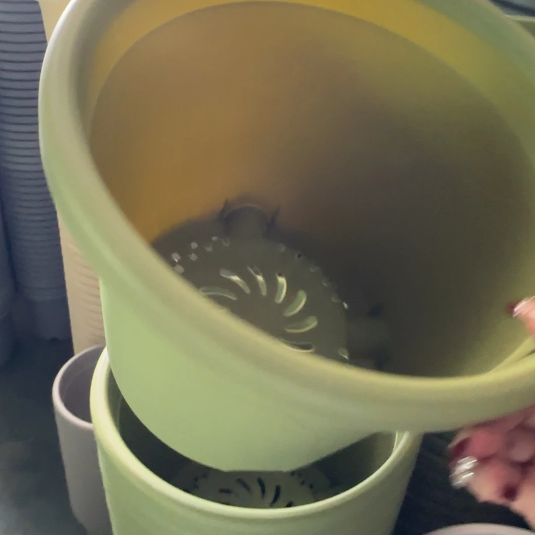 树脂四季盆5#无拖果绿微瑕6