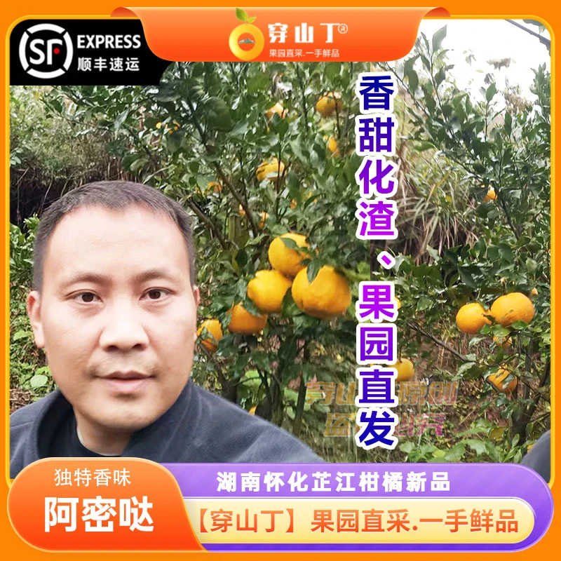 阿蜜达柑橘_湖南怀化芷江爱媛46号早熟耙耙柑清甜味浓-化渣-顺丰