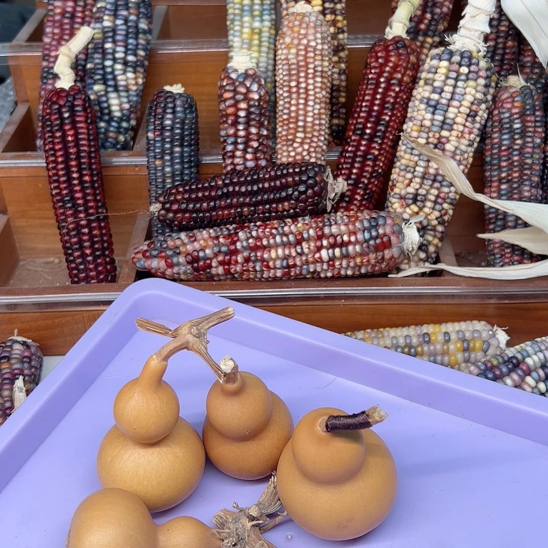 辞**D文玩玉米毛料精品