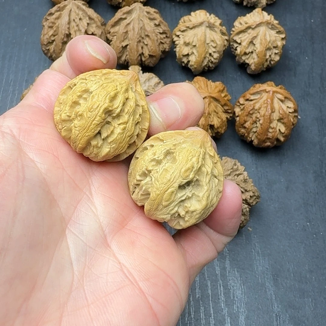 桃木突突突突突突突突