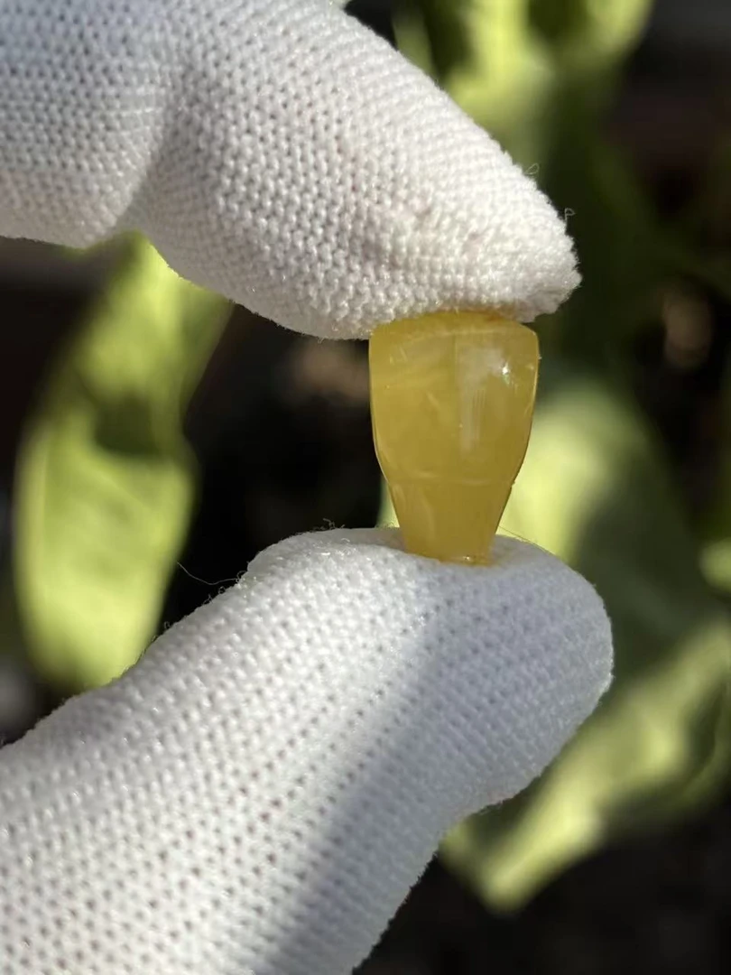 3930天然蜜蜡琥珀三通配饰10x8.8x15.5mm