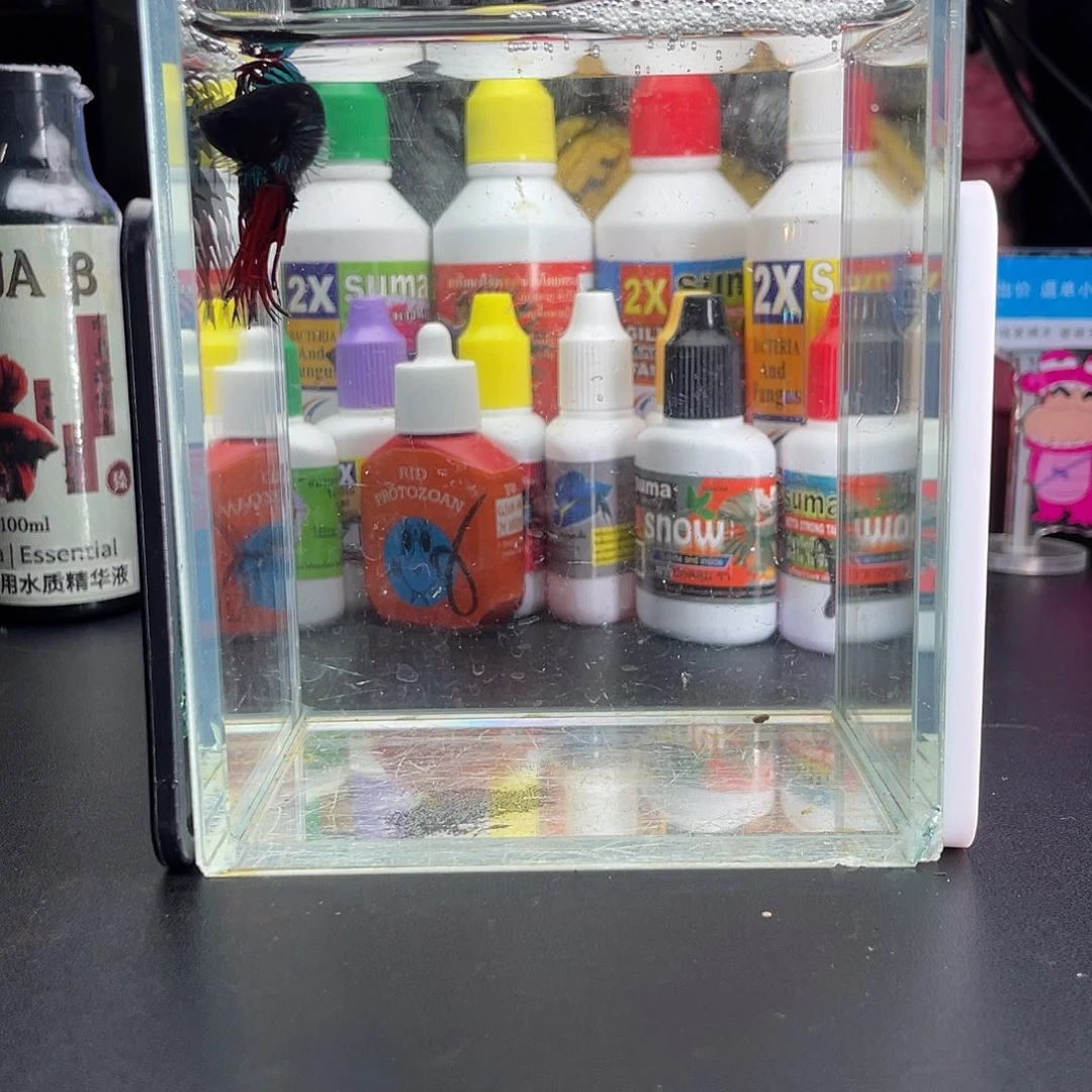 斗鱼3号1020早黑毒