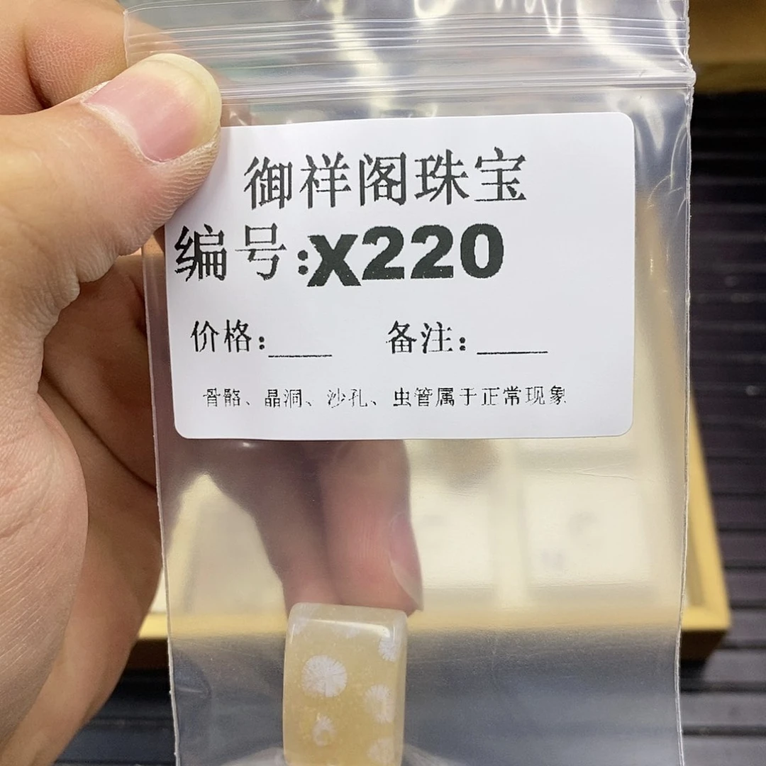 硅化珊瑚（珊瑚玉）未镶嵌颈饰浮*