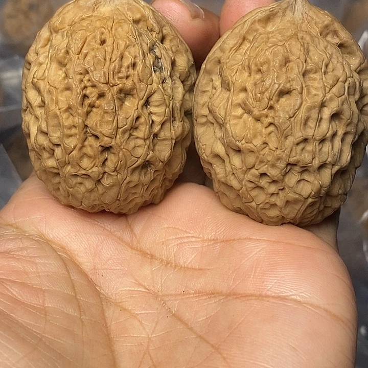 文玩核桃把件云南铁核桃82