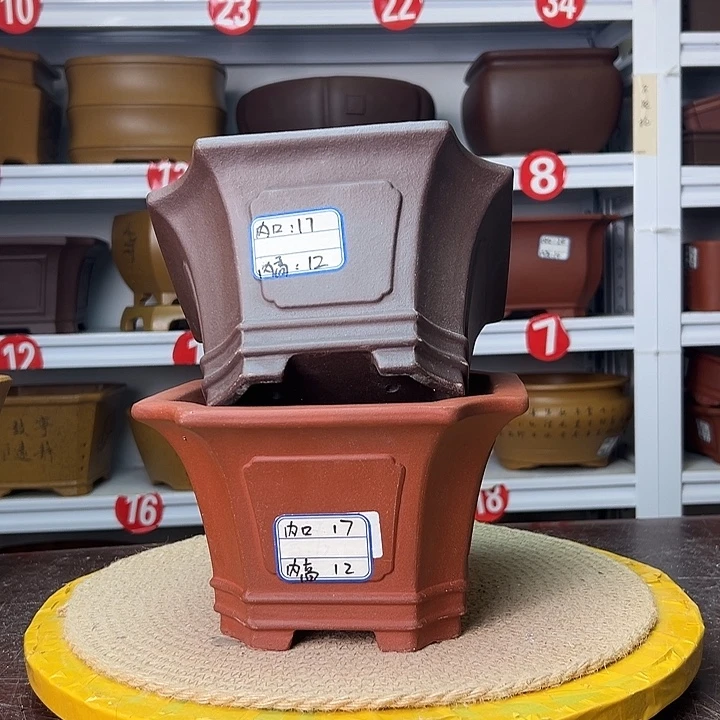 花盆紫砂蛇年大吉