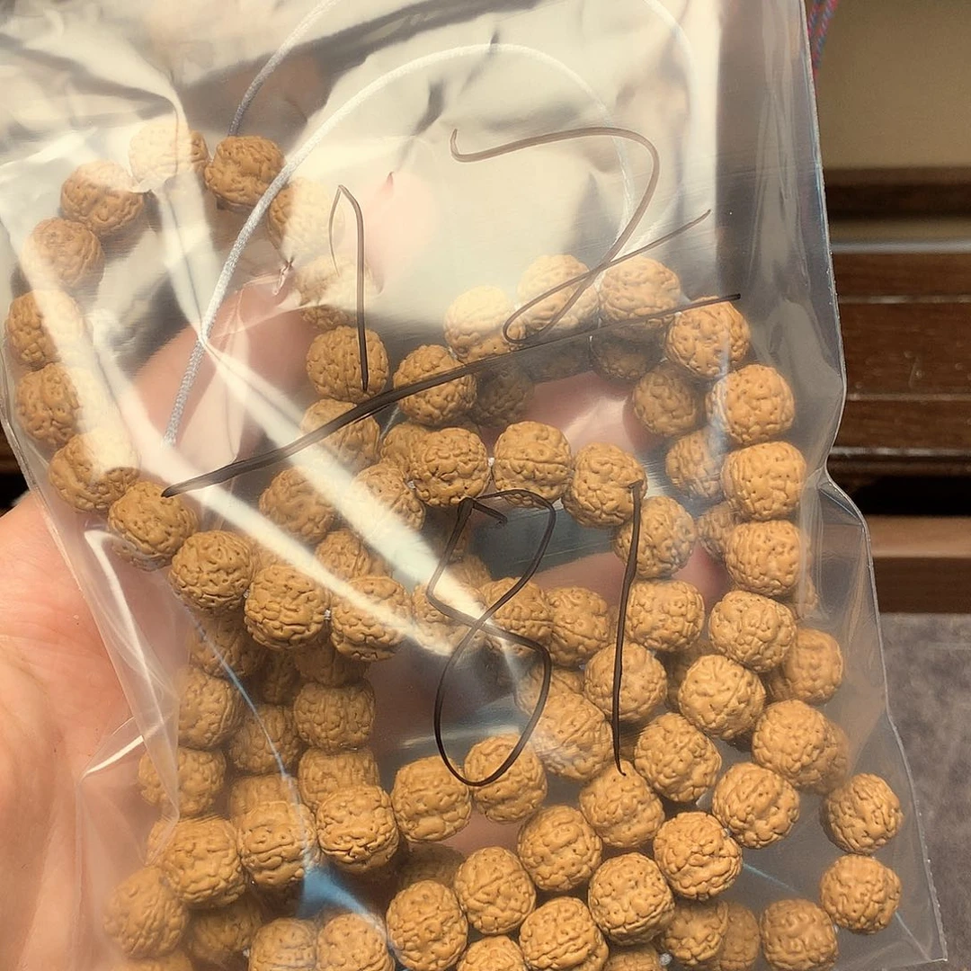 金刚菩提吊坠?****?12//////////