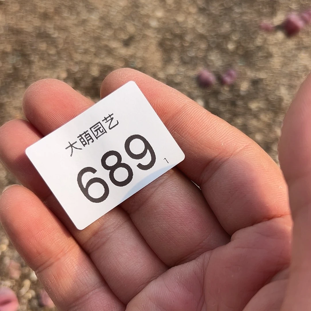 00000689清框脱土发无售后