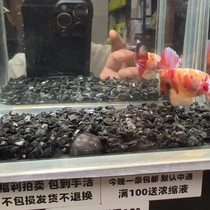 斗鱼跑单拉黑14日13