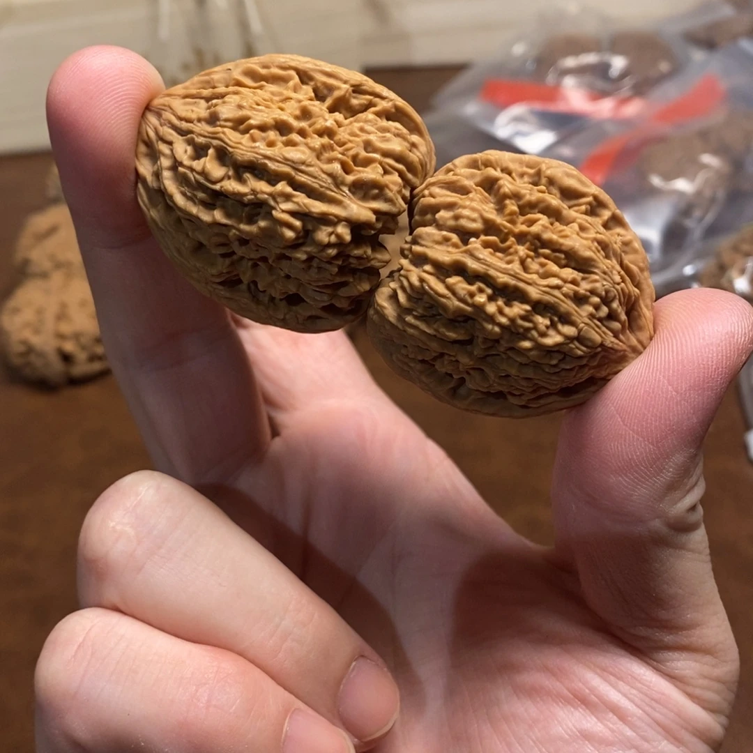 手串金刚菩提三角南疆40