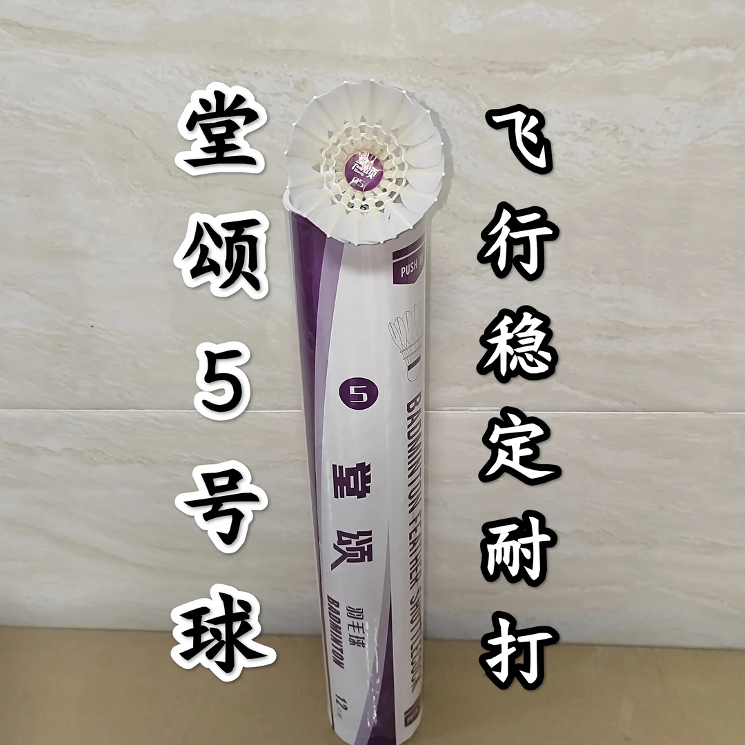 堂颂羽毛球堂颂5号一级毛片羽毛球耐打飞行稳定训练比赛专用