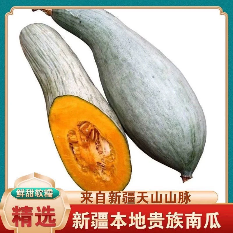 【新鲜发货】新疆当季贵族南瓜正宗金丝板贵妃沙漠宝宝辅食