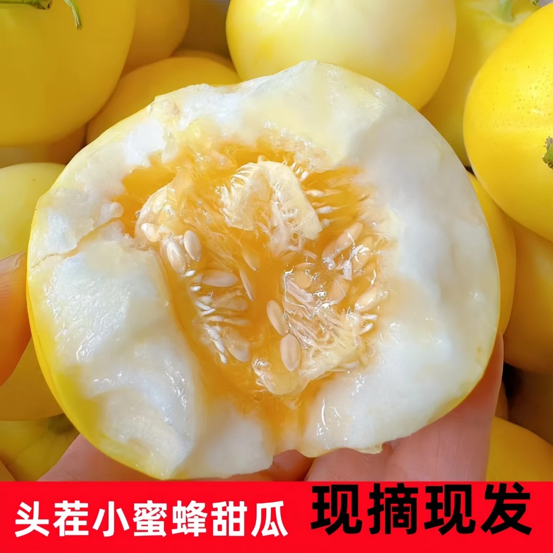 正宗山东小蜜蜂甜瓜新鲜水果香瓜甜瓜山东小蜜罐甜瓜正宗甜香瓜