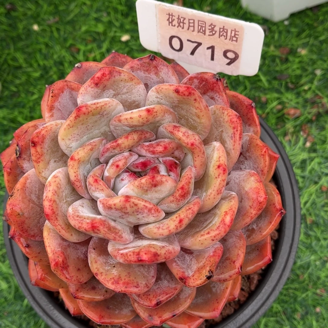 0719 满30包邮天冷地区必拍保温箱