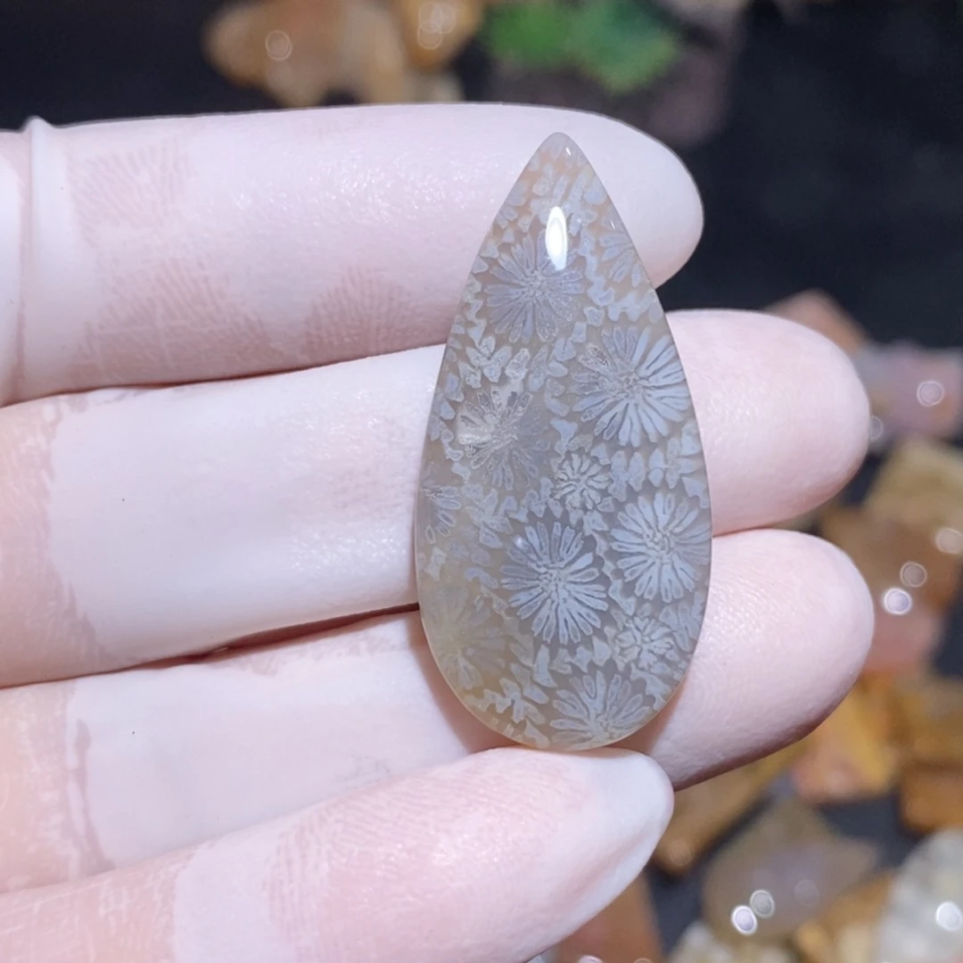 【闪购商品】硅化玉颈饰未镶嵌