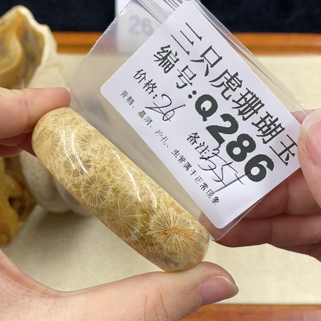 硅化珊瑚（珊瑚玉）1未镶嵌*️**