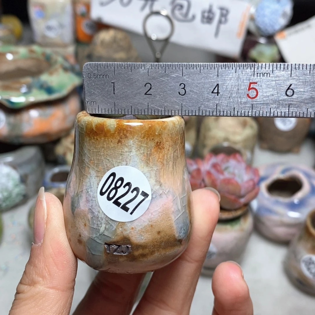 花盆拍5送一个小礼物