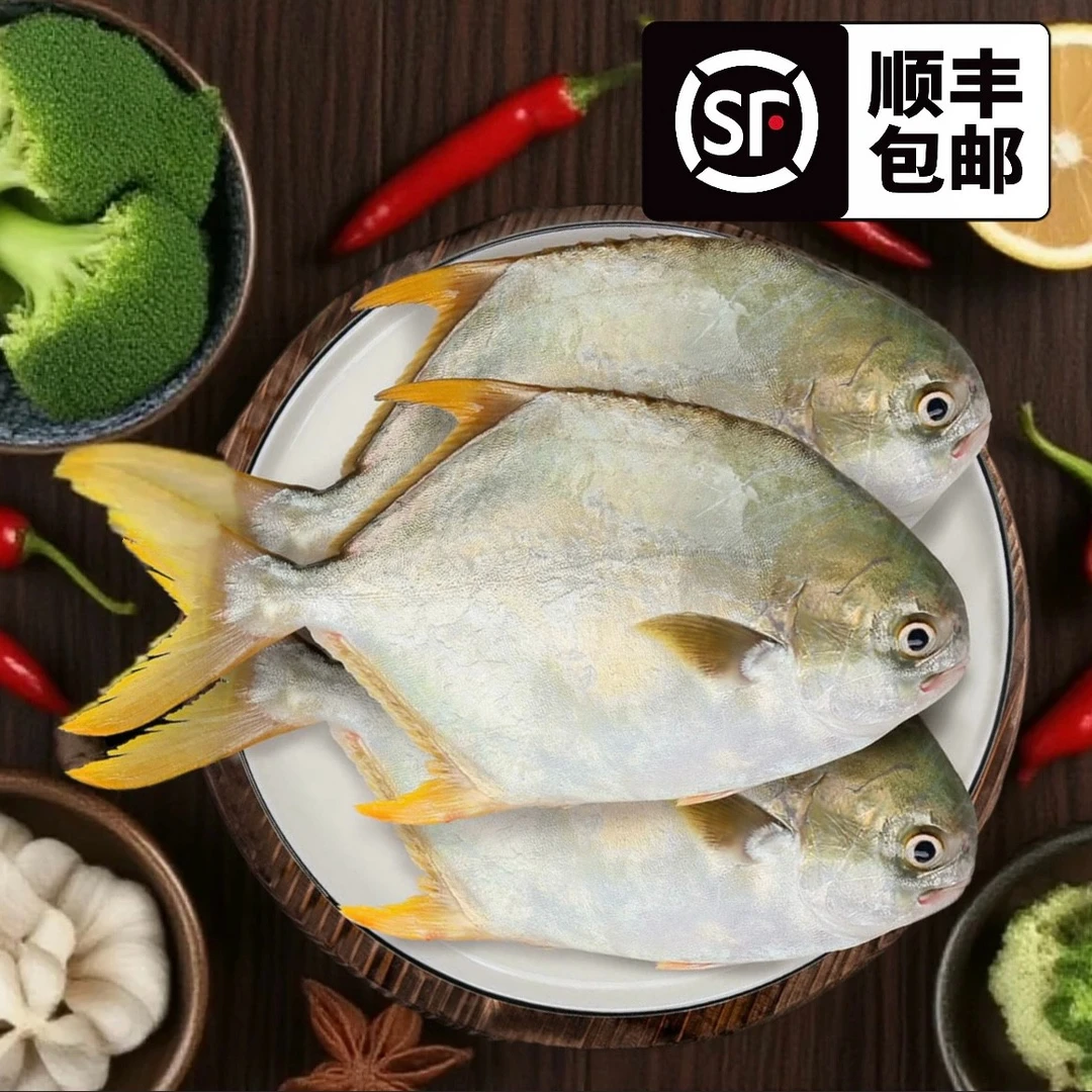 【到手6条】深海金鲳鱼鲜活捕捞上岸即发4斤海昌鱼广东阳江顺丰包邮